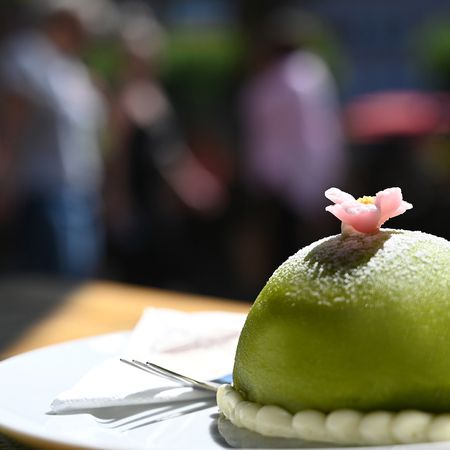 Grünes kuppelförmiges Dessert mit dekorativer Blume auf einem Teller